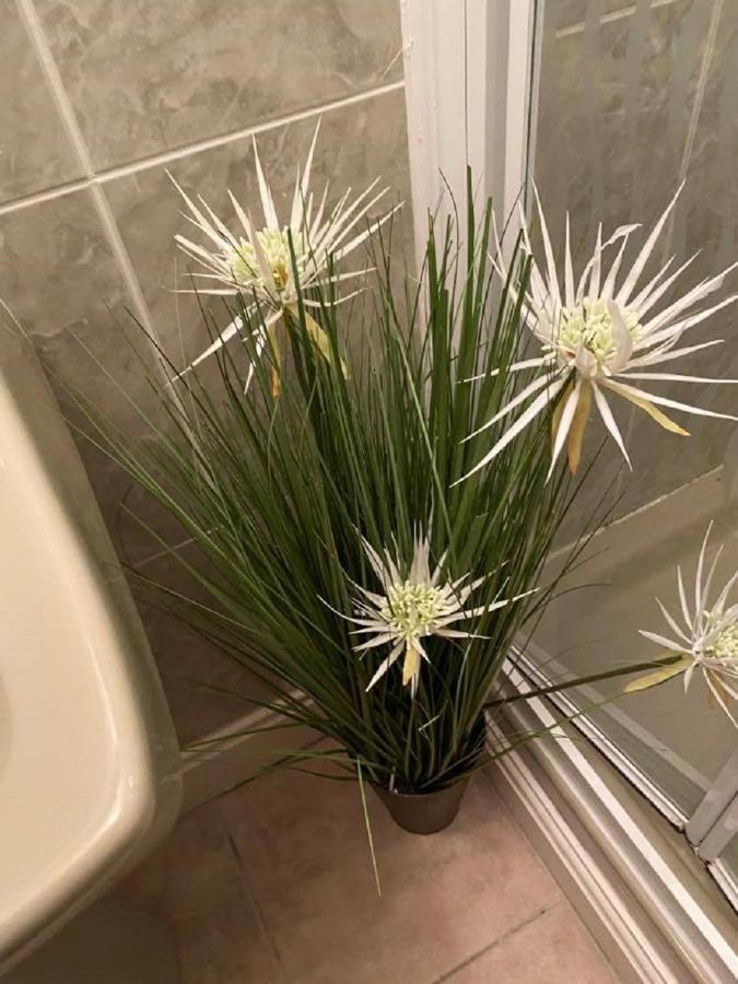 סנדאון Burlington Hotel מראה חיצוני תמונה